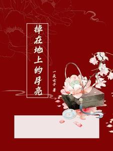 掉在地上的月亮啊