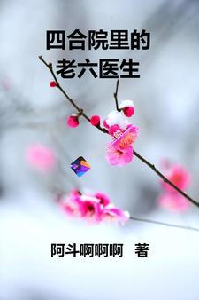 四合院开局睡何雨水