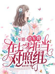 军嫂俏佳人
