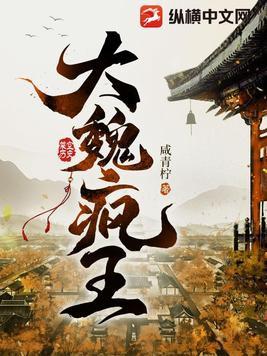 大魏皇后免费阅读