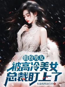假扮的男友