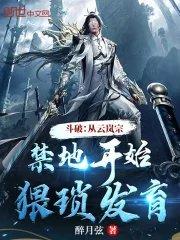 斗破之云岚剑仙