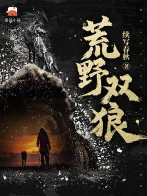 荒野双枪攻略