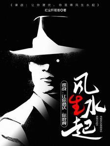 上海滩谍战剧