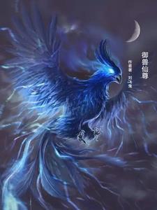 御兽仙尊全本