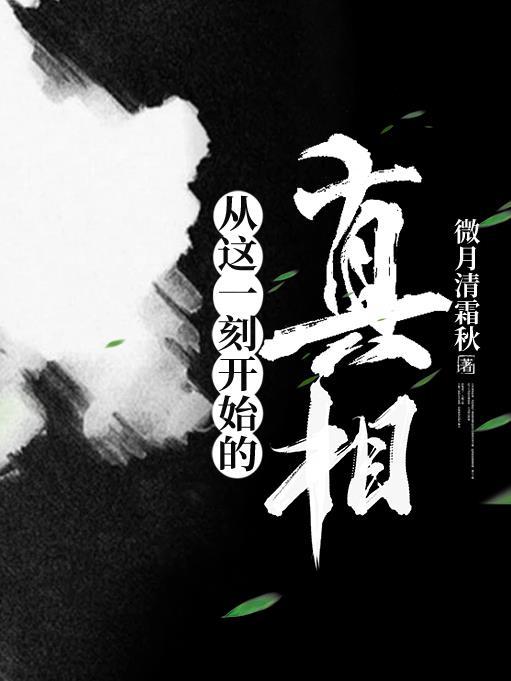 从这一刻开始的真相英文