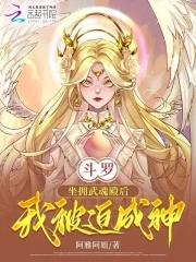 斗罗之被武魂殿追杀